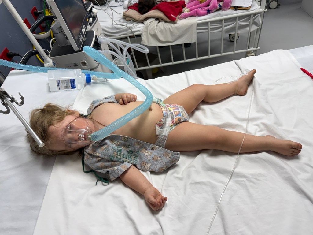 En Manos De La&nbsp;Providencia